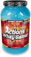 Actions Whey Gainer