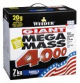 Giant Mega Mass 4000